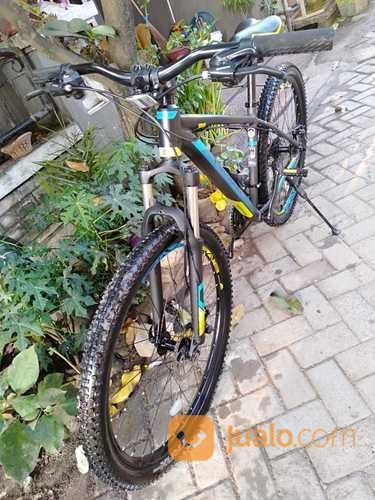 Sepeda MTB Polygon Cascade 3