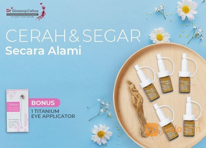 Dr Ginseng Callus - Stemcell Serum, Serum Anti Aging Korea Dengan Ijin BPOM