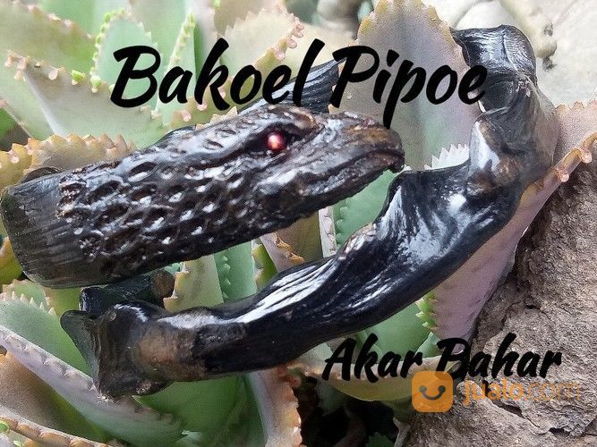 Gelang Akar Bahar Hitam Ukir Burung Rajawali