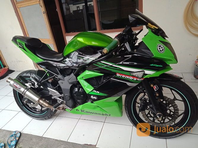 Ninja 250sl Rr Mono