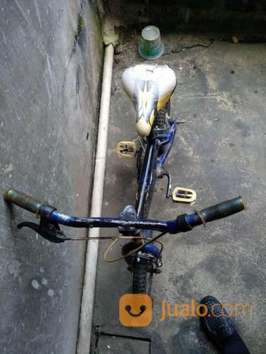 Sepeda Anak Bekas Kondisi Standar