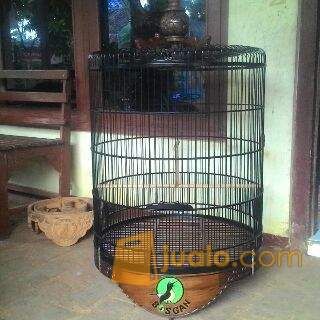 sangkar burung bulat