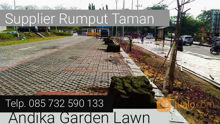 Rumput Jepang Di Kudus, WA 0857-3259-0133, -ANDIKA GARDEN LAWN