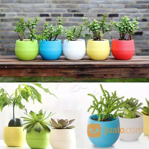 Pot Bunga Mini Bahan Plastik