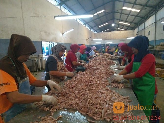 Pabrik Aktif Pembekuan Ikan Dan Siput Di Pandaan - Jatim