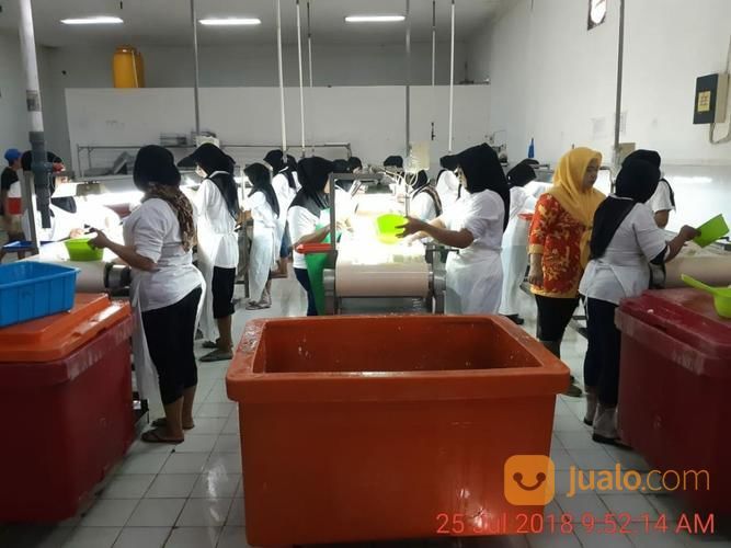 Pabrik Aktif Pembekuan Ikan Dan Siput Di Pandaan - Jatim