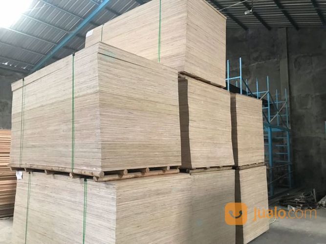 Distributor Triplek Sengon