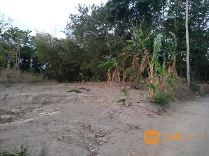 RUMAH BAGUS TIMUR PABRIK SAMPOERNA BERBAH YOGYAKARTA (Kode Iklan D.1826)