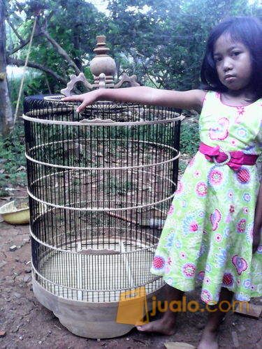 sangkar burung bulat