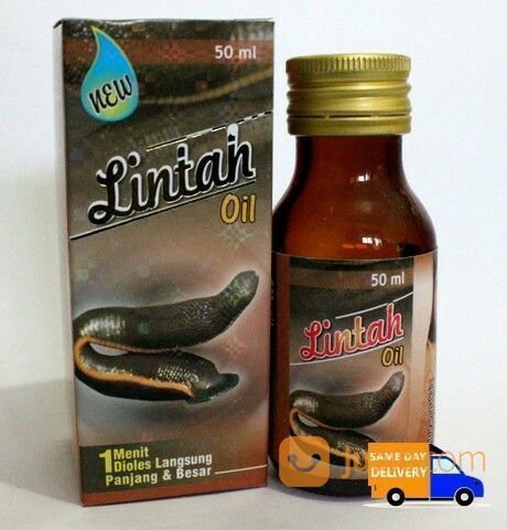 Minyak- Lintah- Asli Papua Atau Lintah- Oil- Papua