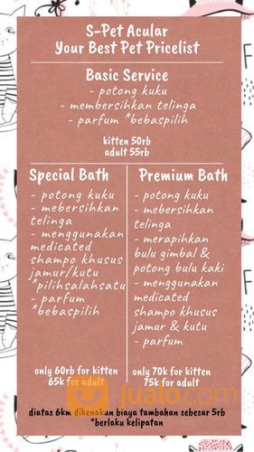 Grooming / Salon / Mandi Kucing Dan Kelinci Door To Door Atau Panggilan