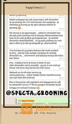 Grooming / Salon / Mandi Kucing Dan Kelinci Door To Door Atau Panggilan