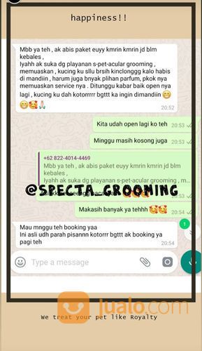 Grooming / Salon / Mandi Kucing Dan Kelinci Door To Door Atau Panggilan