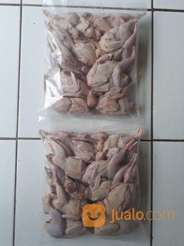 Daging Puyuh Frozen