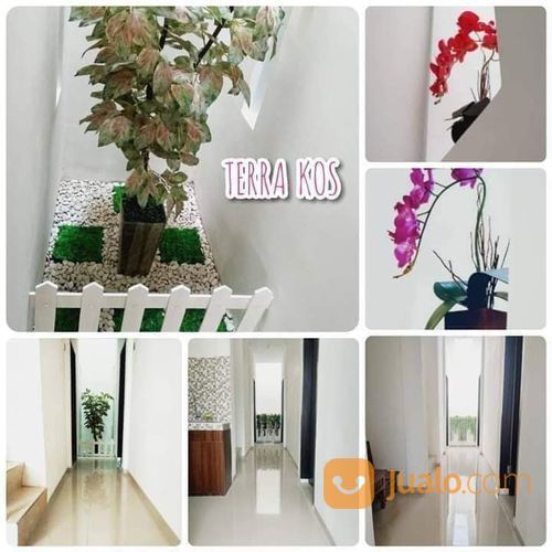 Kost Eksclusive Terra Kost Sengkaling