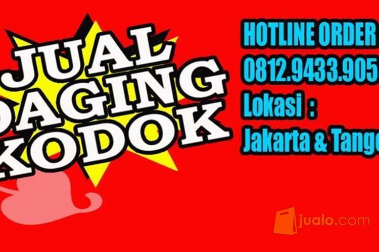 DAGING KODOK SWIKE