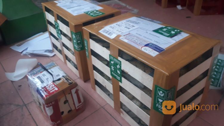 JASA PENGIRIMAN BURUNG / UNGGAS ANTAR PULAU