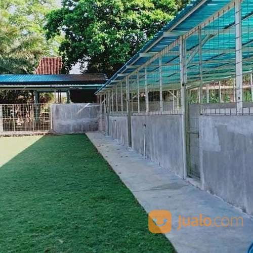 Penitipan Anjing Di Bali - Pole Dog Stay