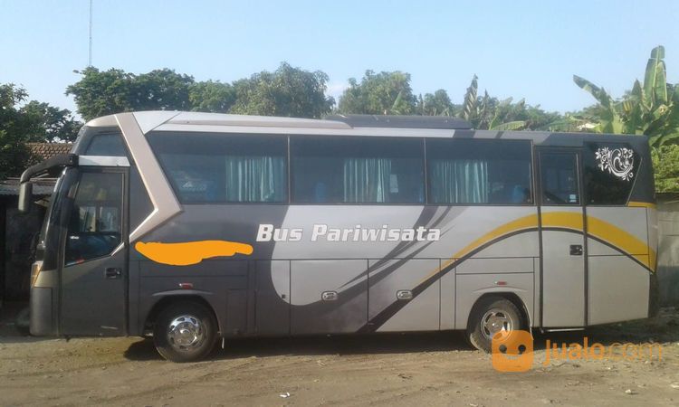 Bis Isuzu NQR Seat 35