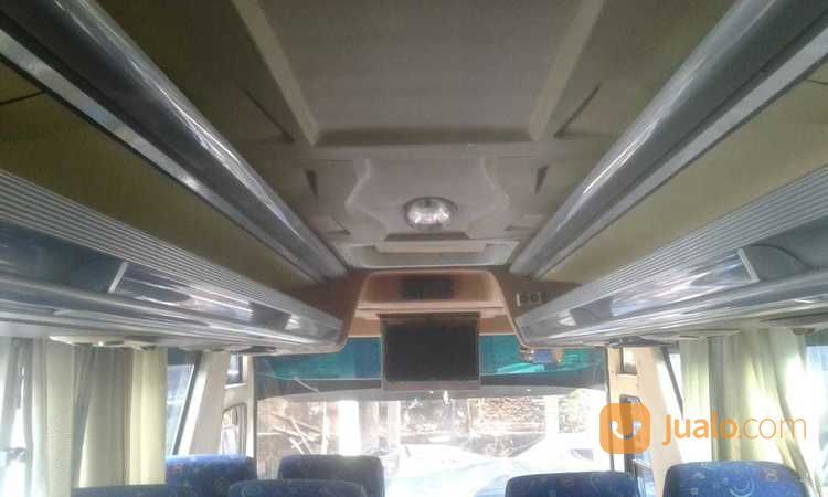 Bis Isuzu NQR Seat 35