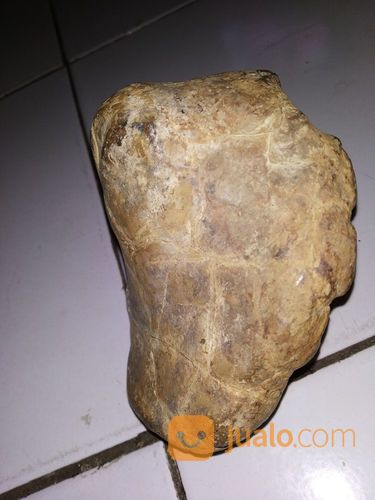 Suiseki Batu Nunggal Jalasutra Septarian Antik