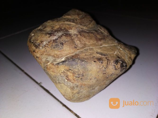 Suiseki Batu Nunggal Jalasutra Septarian Antik
