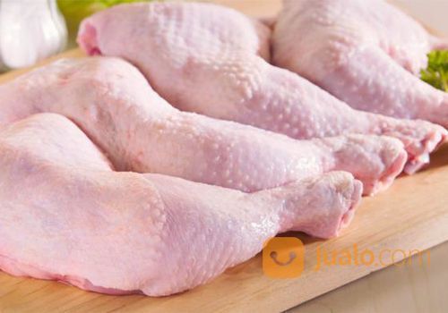 Supplier Ayam Karkas