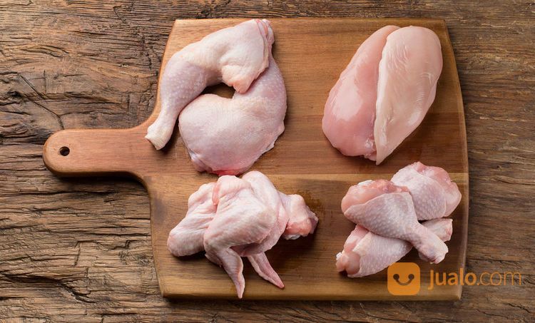 Supplier Ayam Karkas