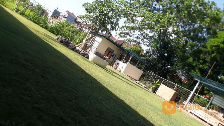 Penitipan Anjing Di Bali - Pole Dog Stay