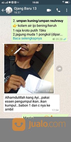 Essen Jitu Mancing Ikan Mas Lomba Dan Harian