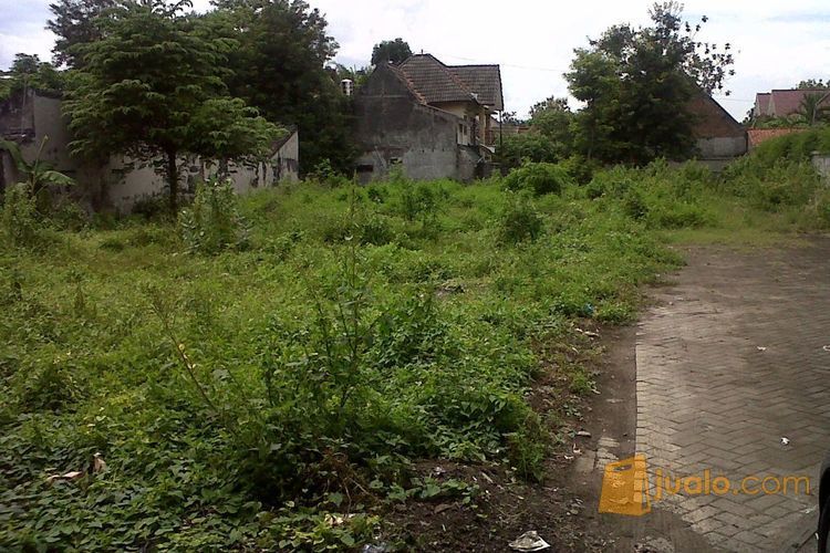 Tanah Tepi Aspal Utara Terminal Condong Catur Yogyakarta