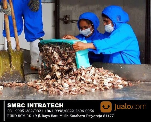LAYANAN KONSULTAN LIMBAH PERIKANAN ~ KONSULTAN LIMBAH PERIKANAN TERBAIK DI SURABAYA