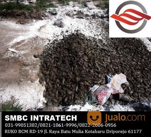 LAYANAN KONSULTAN LIMBAH PETERNAKAN ~ KONSULTAN PEMANFAATAN LIMBAH PETERNAKAN TERBAIK DI SURABAYA