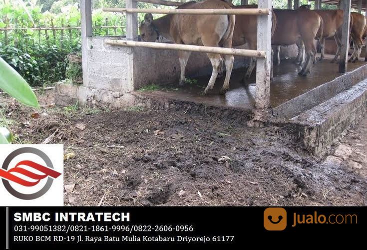 LAYANAN KONSULTAN LIMBAH PETERNAKAN ~ KONSULTAN PEMANFAATAN LIMBAH PETERNAKAN TERBAIK DI SURABAYA