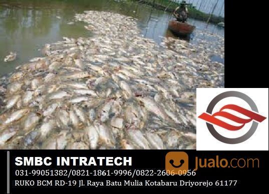 LAYANAN KONSULTAN LIMBAH PERIKANAN ~ NO TELEPON KONSULTAN PENGOLAHAN LIMBAH PERIKANAN