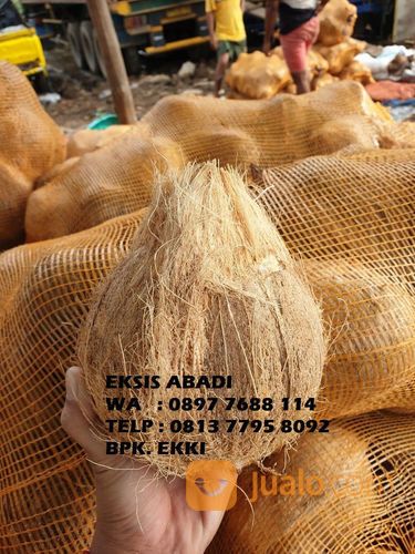 Kelapa Tua Kelapa Tua