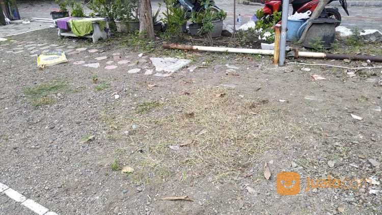 Jasa Potong Rumput Sidoarjo Membersihkan Taman Dan Tanah Anda