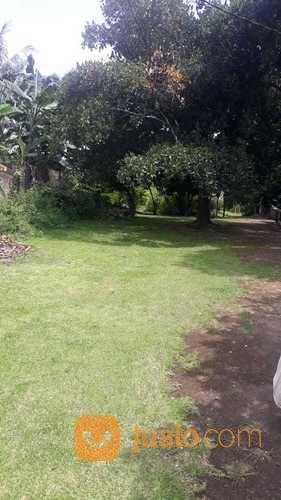 Tanah Strategis Pinggir Jalan Raya Cendrawasih Tajur Halang Bogor