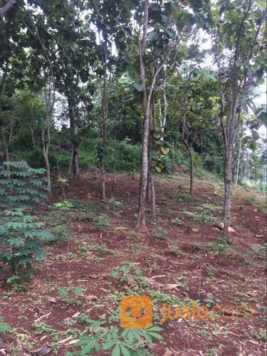 Tanah Darat Produktif Dekat Terminal Bus