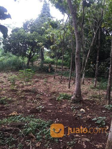 Tanah Darat Produktif Dekat Terminal Bus