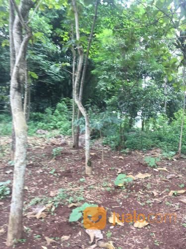 Tanah Darat Produktif Dekat Terminal Bus