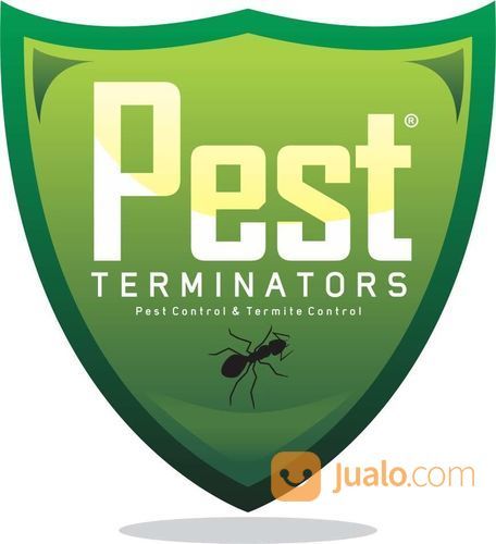 Jasa Anti Rayap Semarang