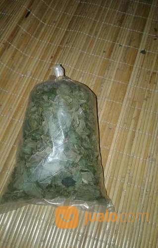 Daun Bidara Arab Petikan