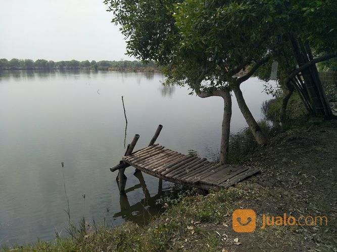 Tambak Produktif Bandeng Dan Udang Di Bangil Kalianyar Pasuruan Siap