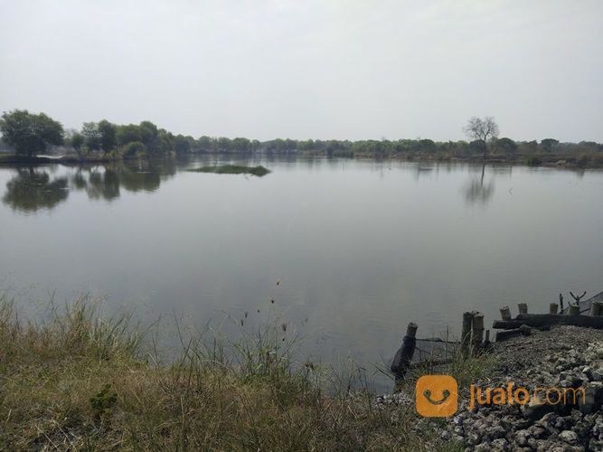 Tambak Produktif Bandeng Dan Udang Di Bangil Kalianyar Pasuruan Siap