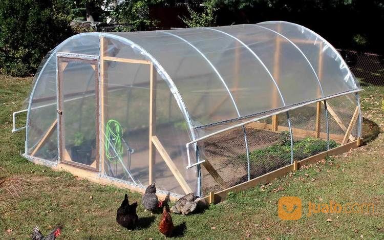 Plastik UV 6% Hercules Sebagai Kandang Ternak Ayam