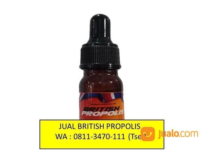 PREMIUM. TELP : 0811-3470-111 (WA), Distributor British Propolis Promil Bandung Bogor