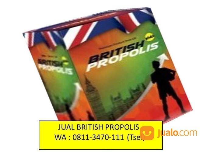 PREMIUM. TELP : 0811-3470-111 (WA), Distributor British Propolis Promil Bandung Bogor