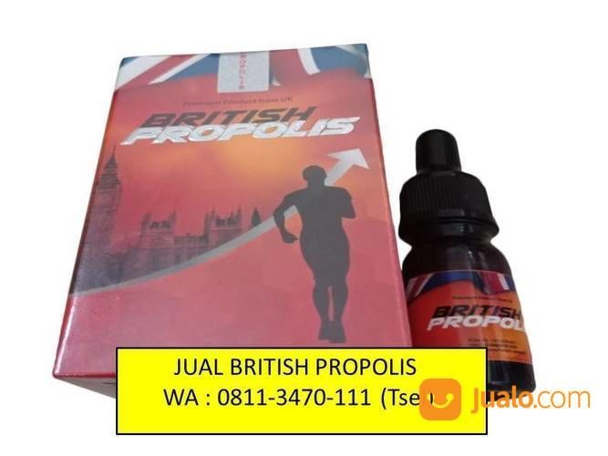 PREMIUM. TELP : 0811-3470-111 (WA), Distributor British Propolis Promil Bandung Bogor