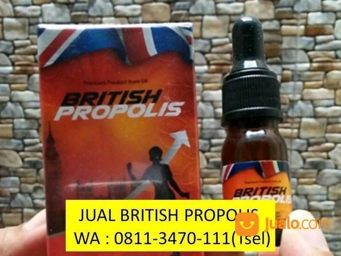 PREMIUM. TELP : 0811-3470-111 (WA), Distributor British Propolis Promil Bandung Bogor